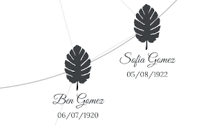 Botanical Lineage | The Family Tree Maker with Modern Designs | ModernFamilyTree